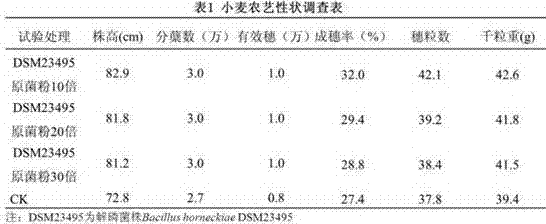 Bacillus and application thereof