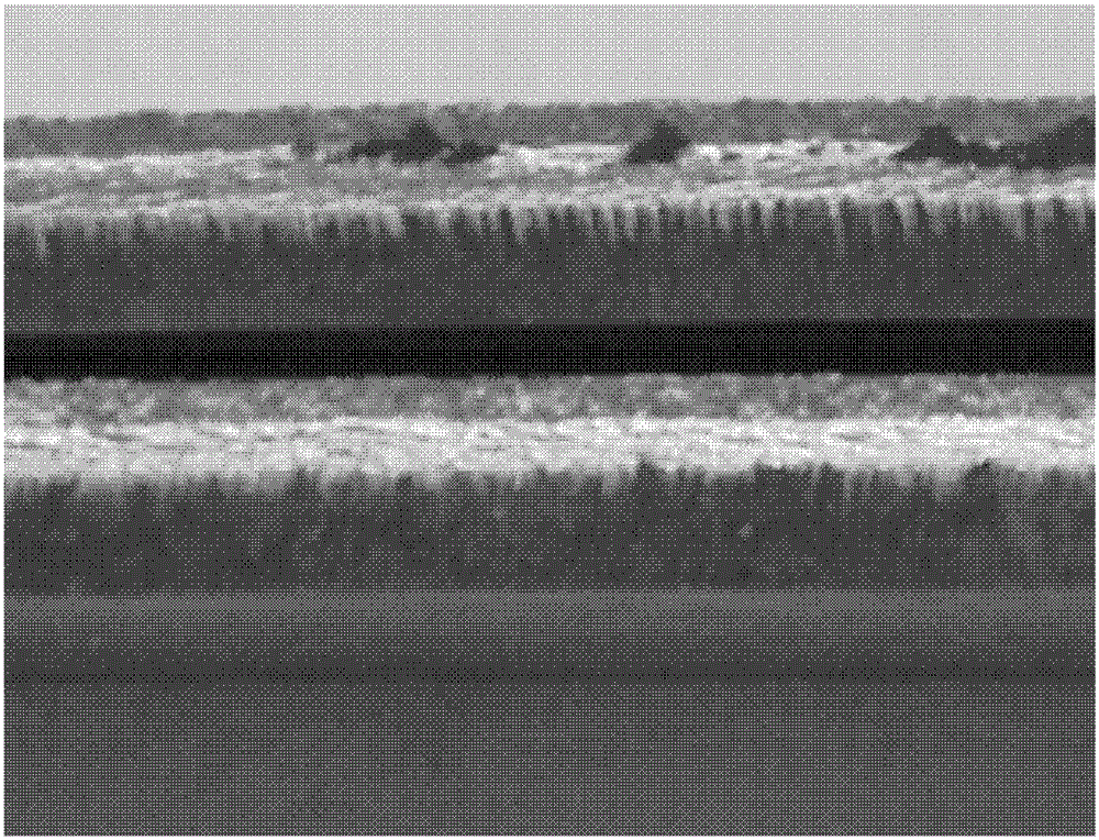 A Comprehensive Optimal Setting Method of Reference Tension Before and After Disc Shearing in Acid Rolling Mill