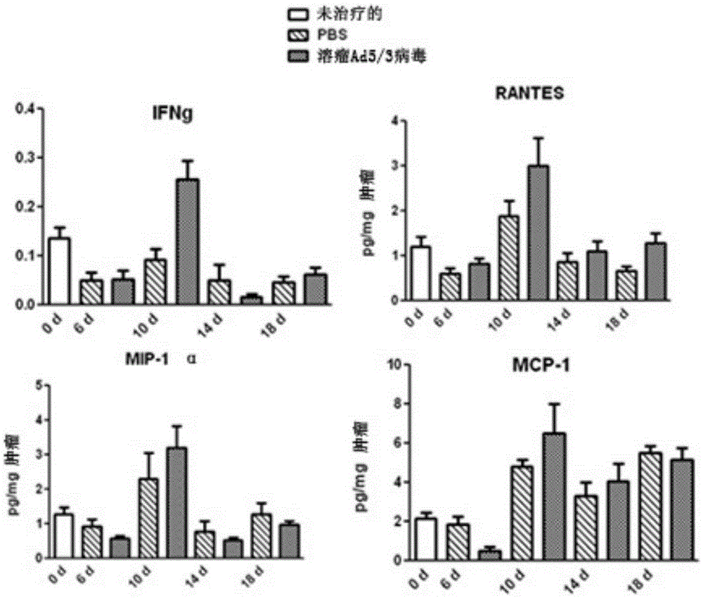 Enhanced adoptive cell therapy