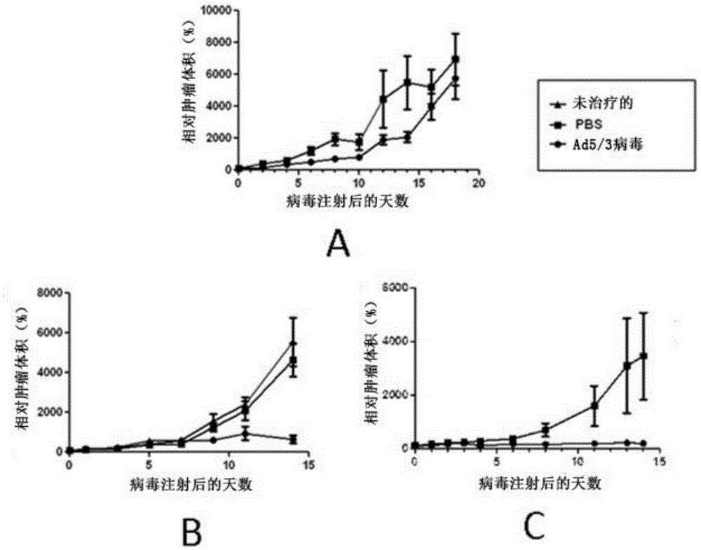 Enhanced adoptive cell therapy