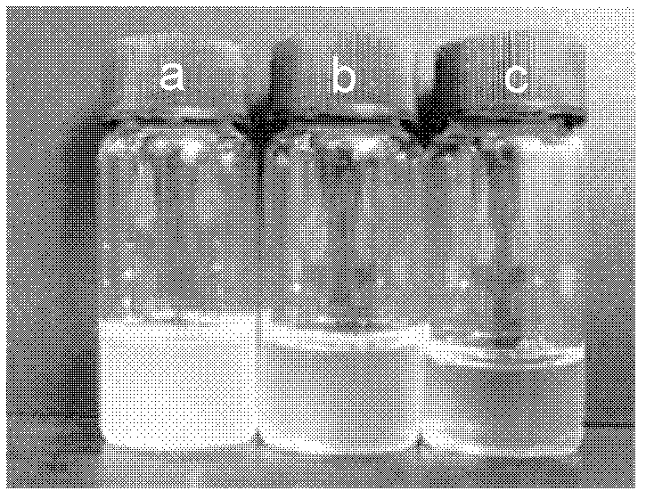 Organic polymer-silica nanocomposite material and its preparation method