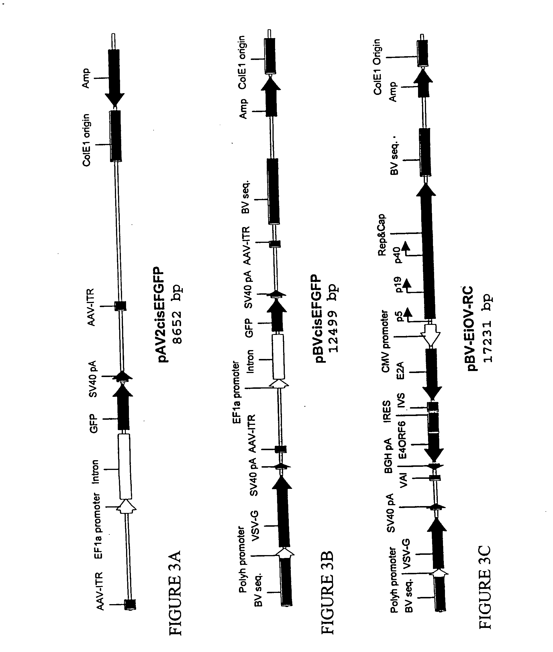 Novel compositions and methods for production of recombinant virus