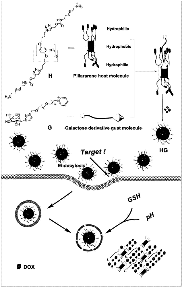 Targeted pH-GSH dual-response multifunctional nano-vesicle drug loading system