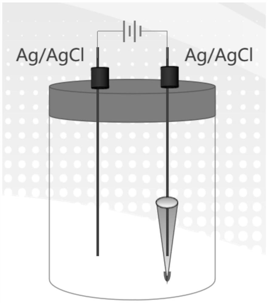 Preparation of Composite Glass Nanopores and Its Application to Biomolecular Detection