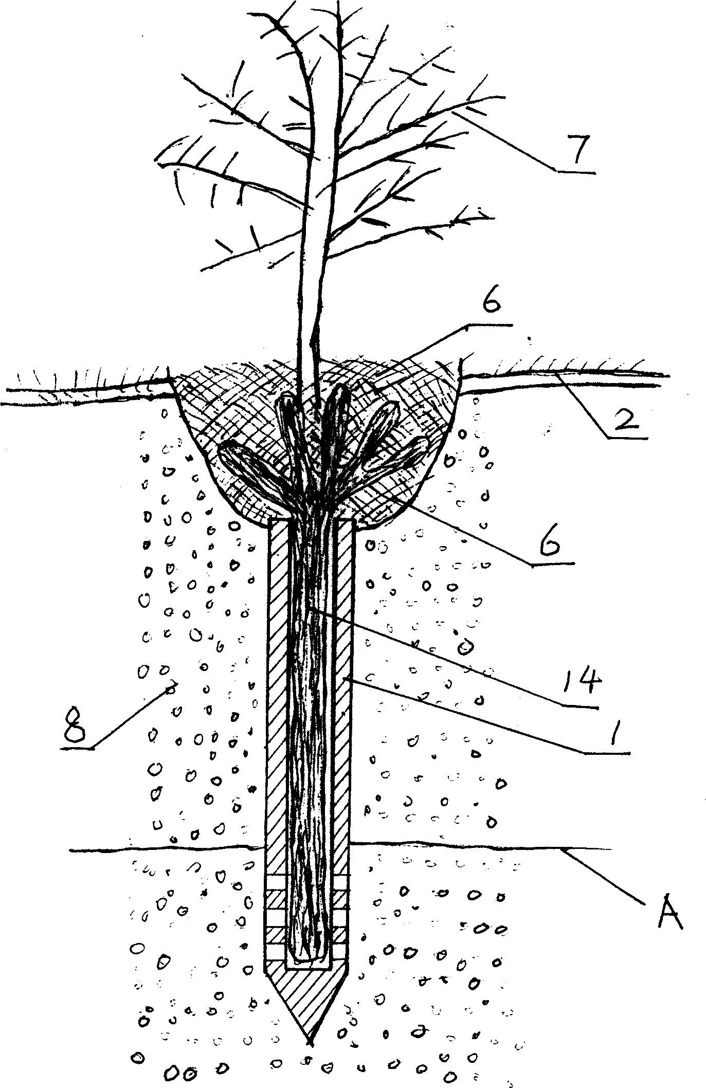 Method for cultivating plants for sand-fixation , water-keeping and desert afforestation
