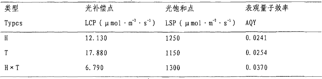 Method for hybridizing pinellia tuber and propagating F1