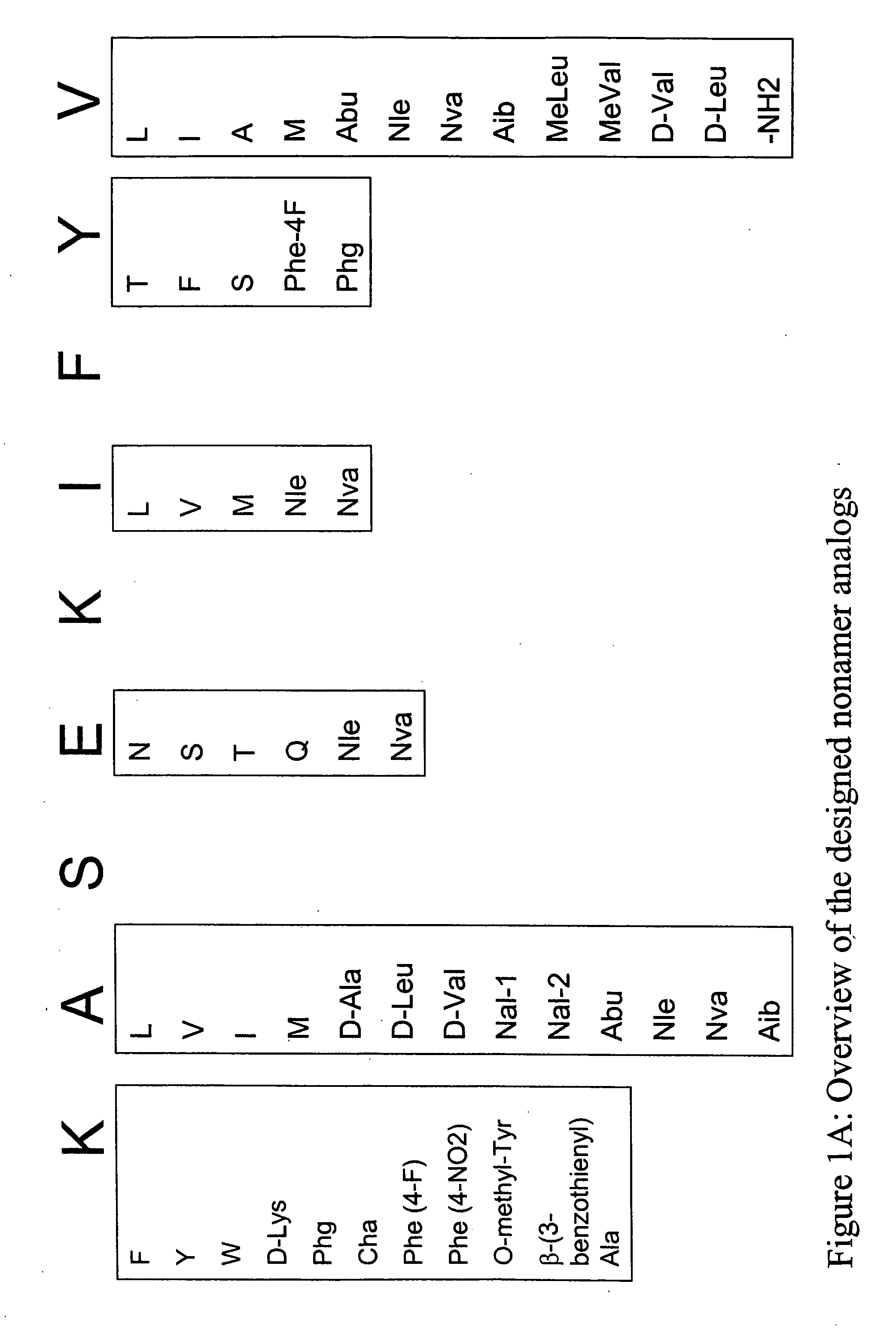SSX-2 peptide analogs