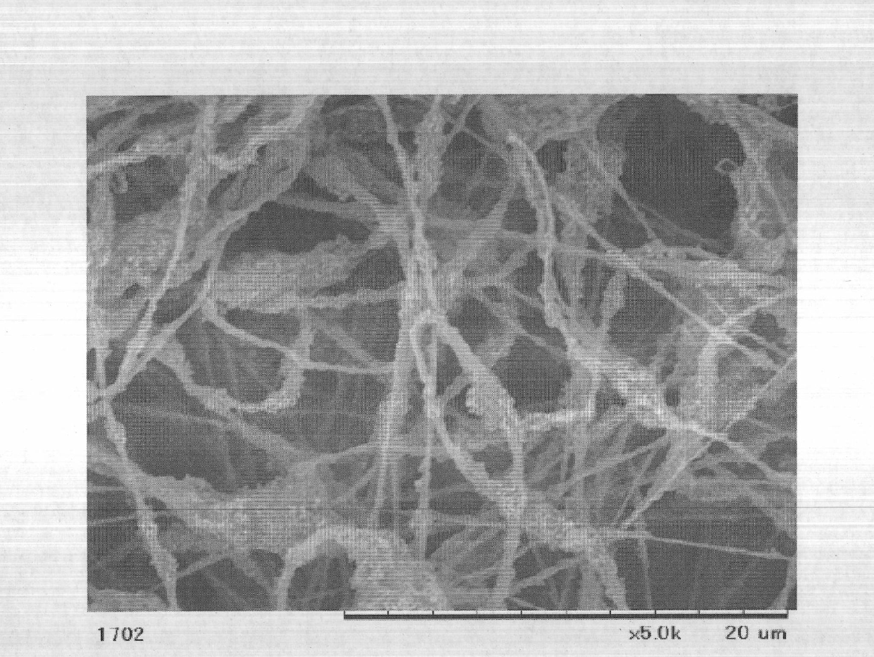 Water control sheet, gas diffusion sheet, membrane-electrode assembly and polymer electrolyte fuel cell