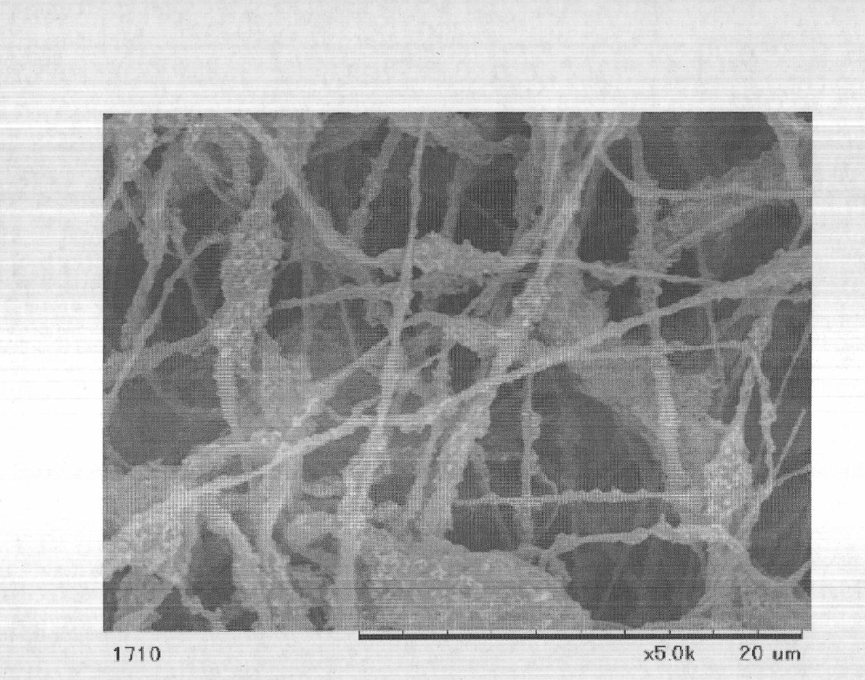 Water control sheet, gas diffusion sheet, membrane-electrode assembly and polymer electrolyte fuel cell