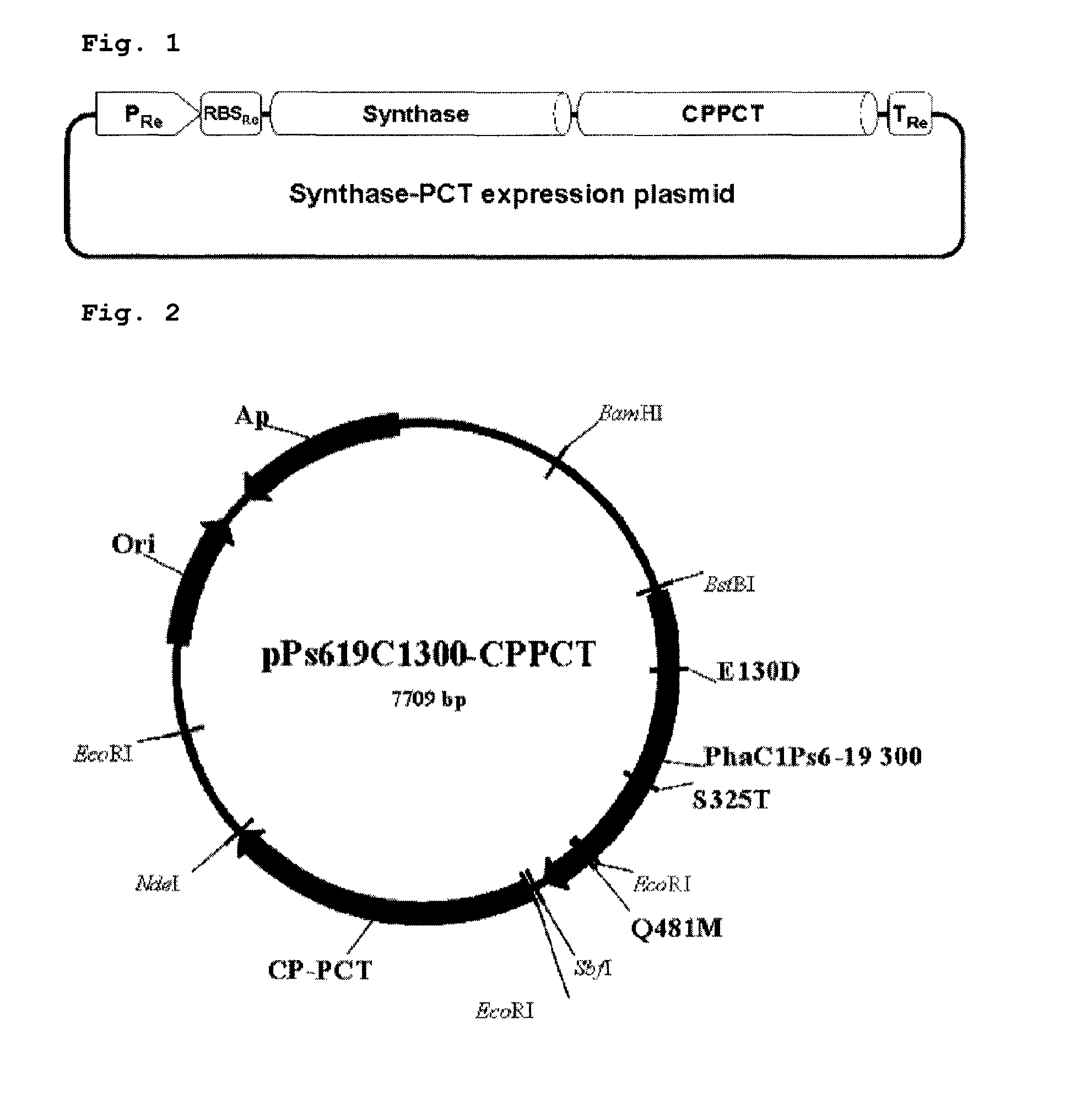 Copolymer containing 3-hydroxyalkanoate unit and lactate unit, and its manufacturing method