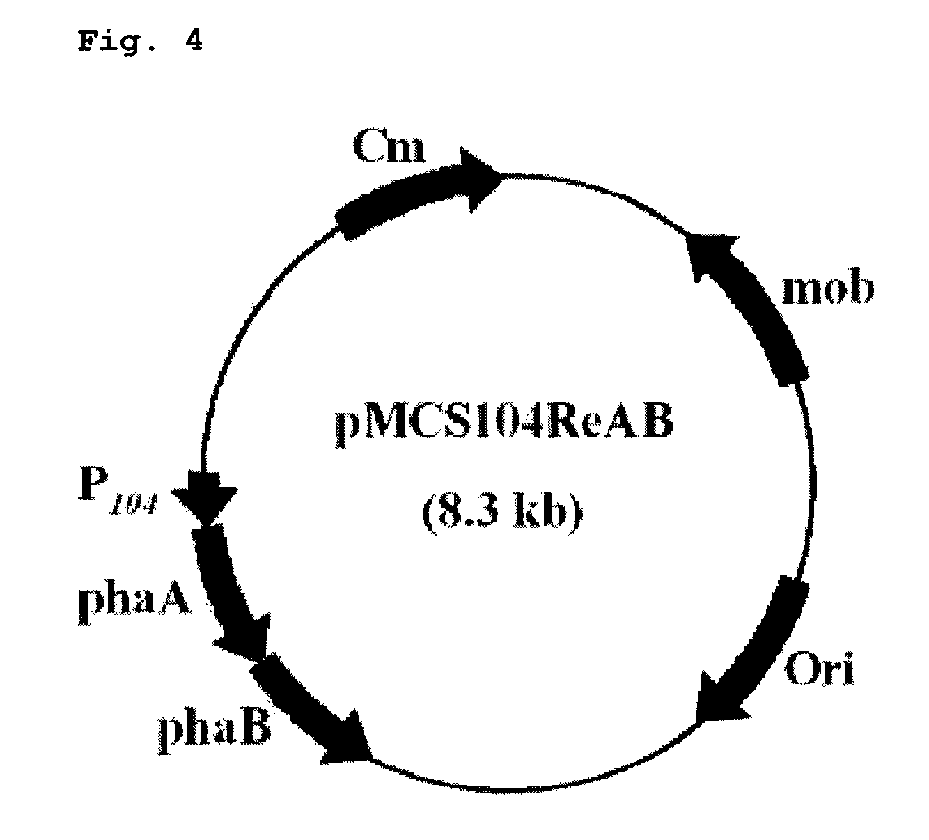 Copolymer containing 3-hydroxyalkanoate unit and lactate unit, and its manufacturing method