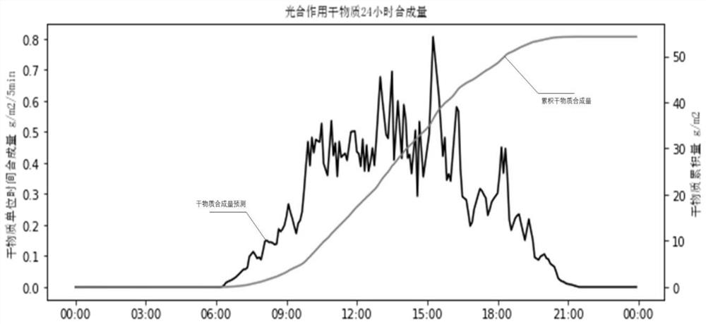 Method for predicting photosynthesis dry matter yield of greenhouse crops
