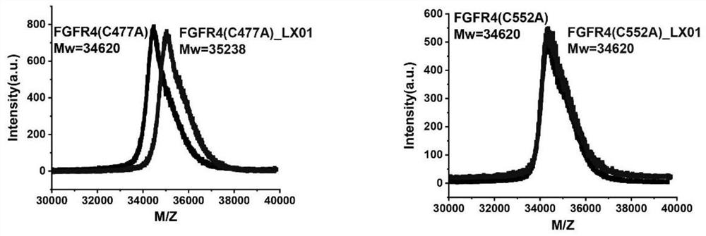 fgfr4 inhibitor, composition and use in pharmaceutical preparation