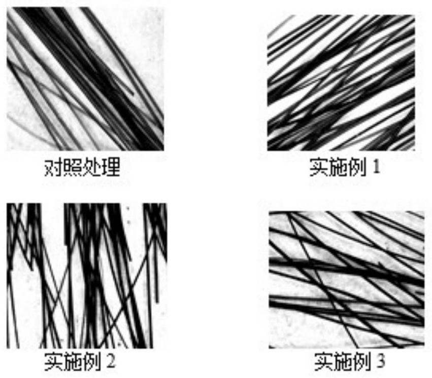 Preparation method and application of hair dyeing product containing melanin precursor prepared by biological fermentation