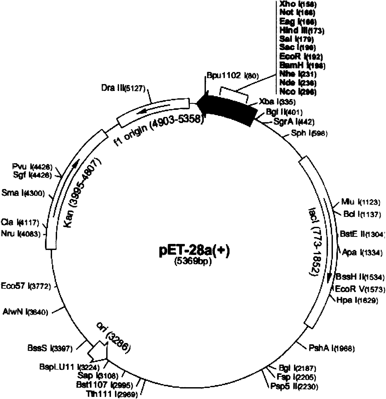 ELISA detection kit based on molecular chaperone adding technology and method thereof