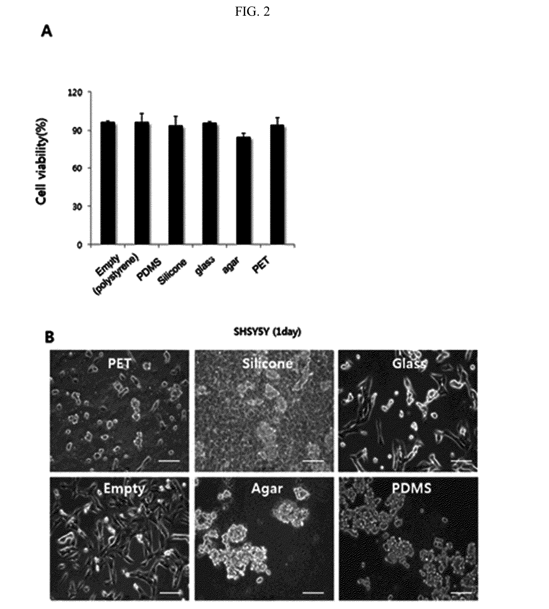 Partial skull replacements capable of monitoring in real time and delivering substances into brain tissue, and uses thereof