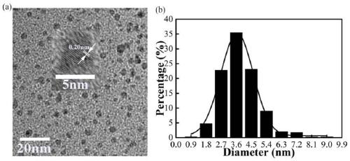 Carbon quantum dot fluorescent double-network hydrogel and preparation method and application thereof