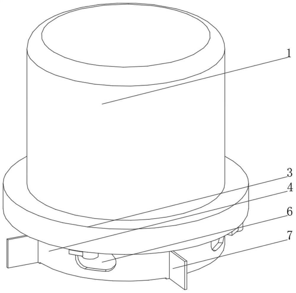 Culture and feeding device for fish