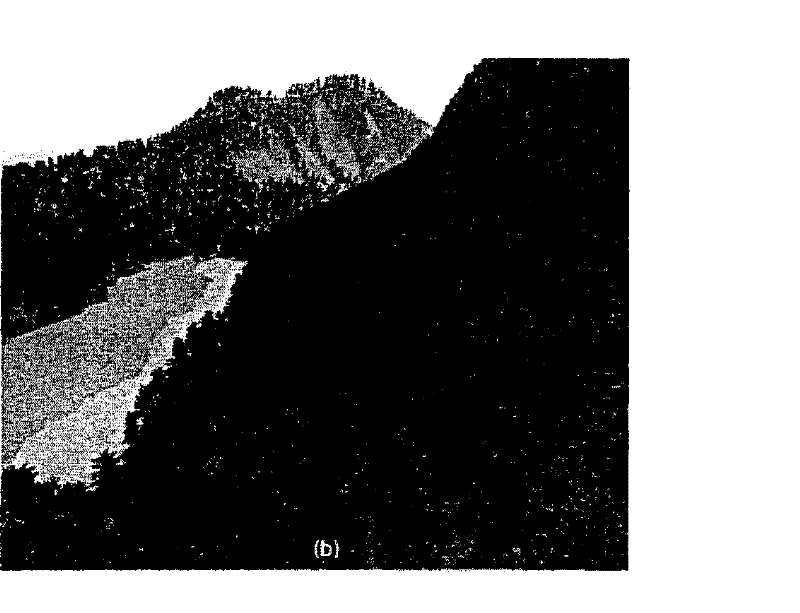 Method for rapidly simplifying and drawing complex leaf