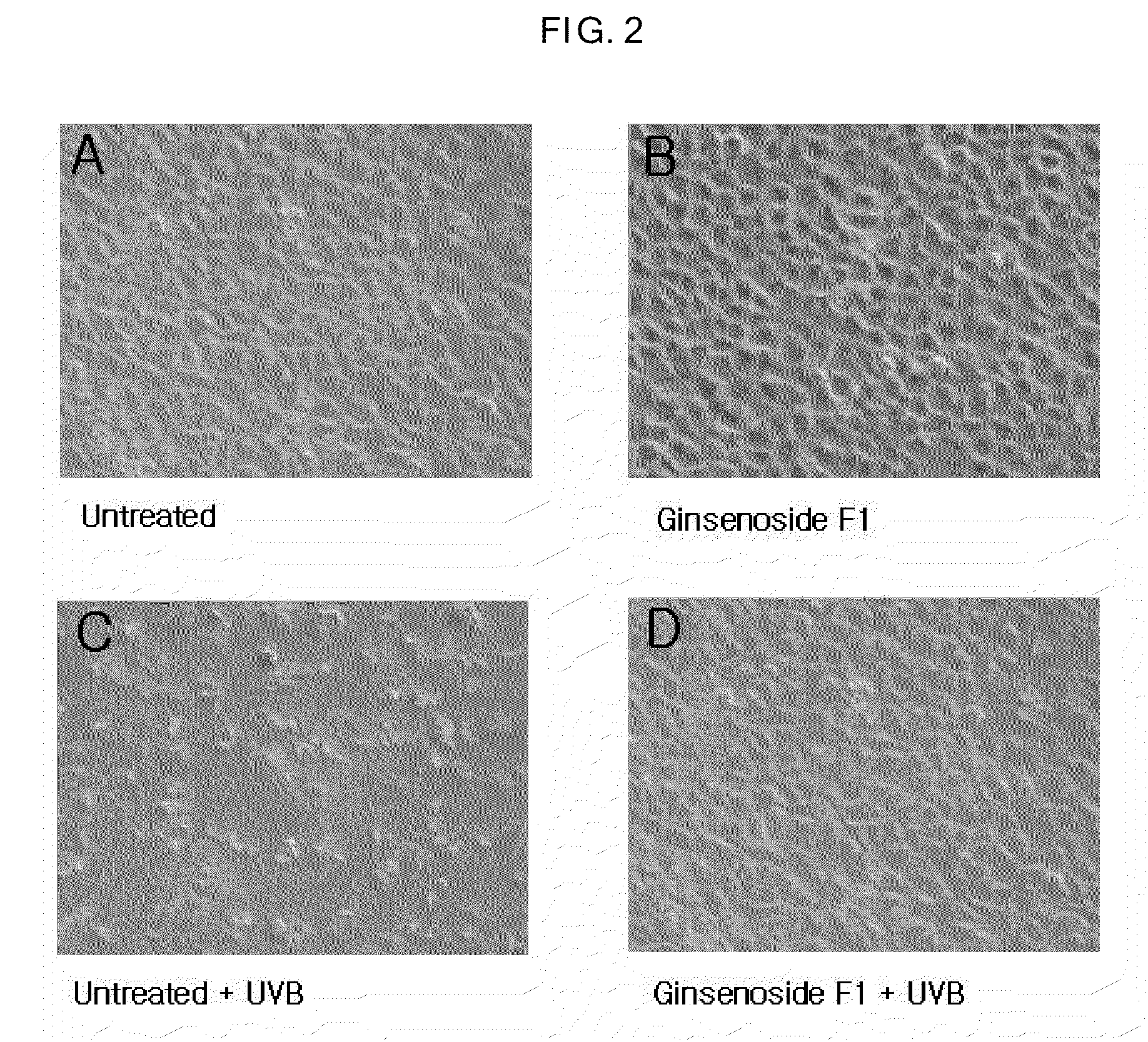 AGENT FOR CONTROLLING Bcl-2 EXPRESSION COMPRISING GINSENOSIDE F1 AS AN ACTIVE COMPONENT