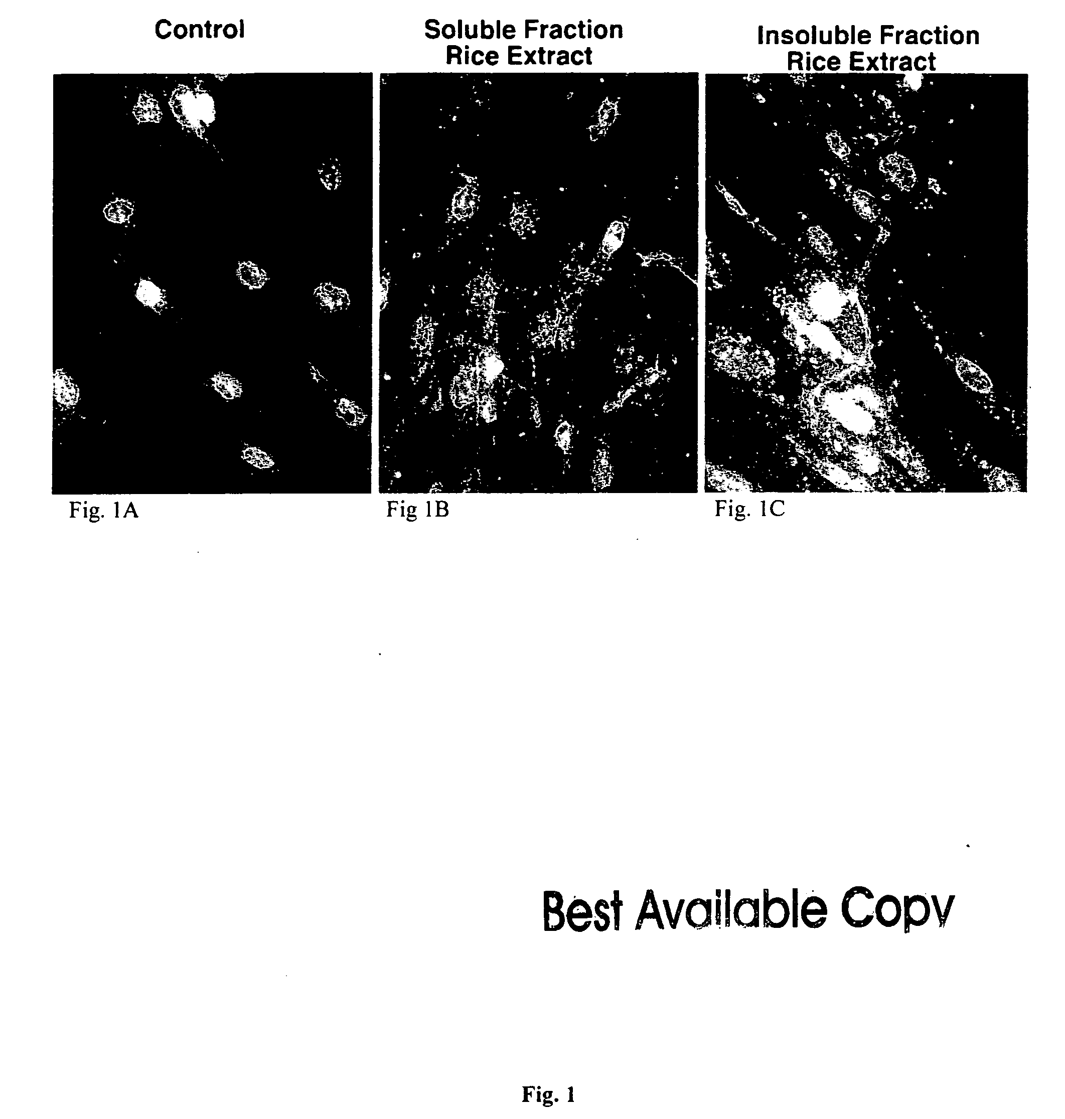 Plant-derived elastin binding protein ligands and methods of using the same