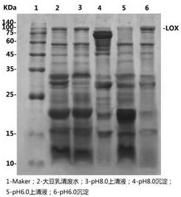 Method for extracting lipoxygenase from soybean whey waste water through inverse pH gradient