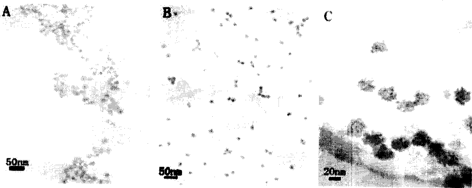 Preparation method of cadmium selenide nano-cluster