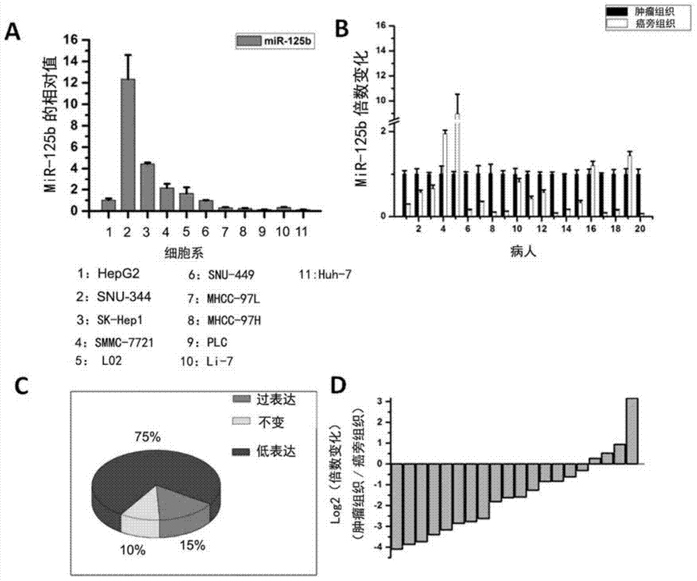 Application of mir‑125b in antitumor