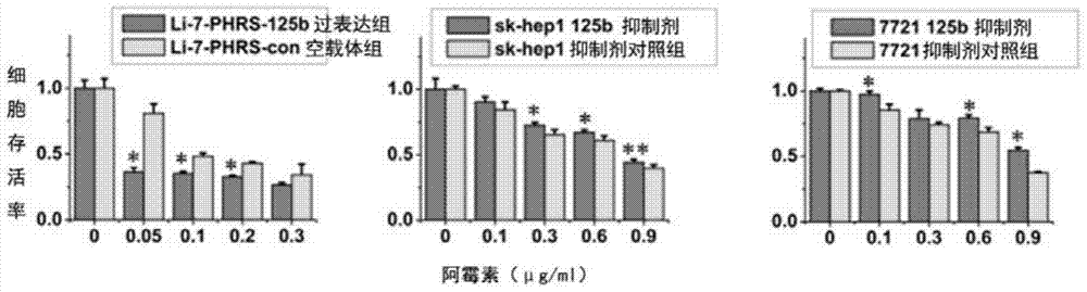 Application of mir‑125b in antitumor