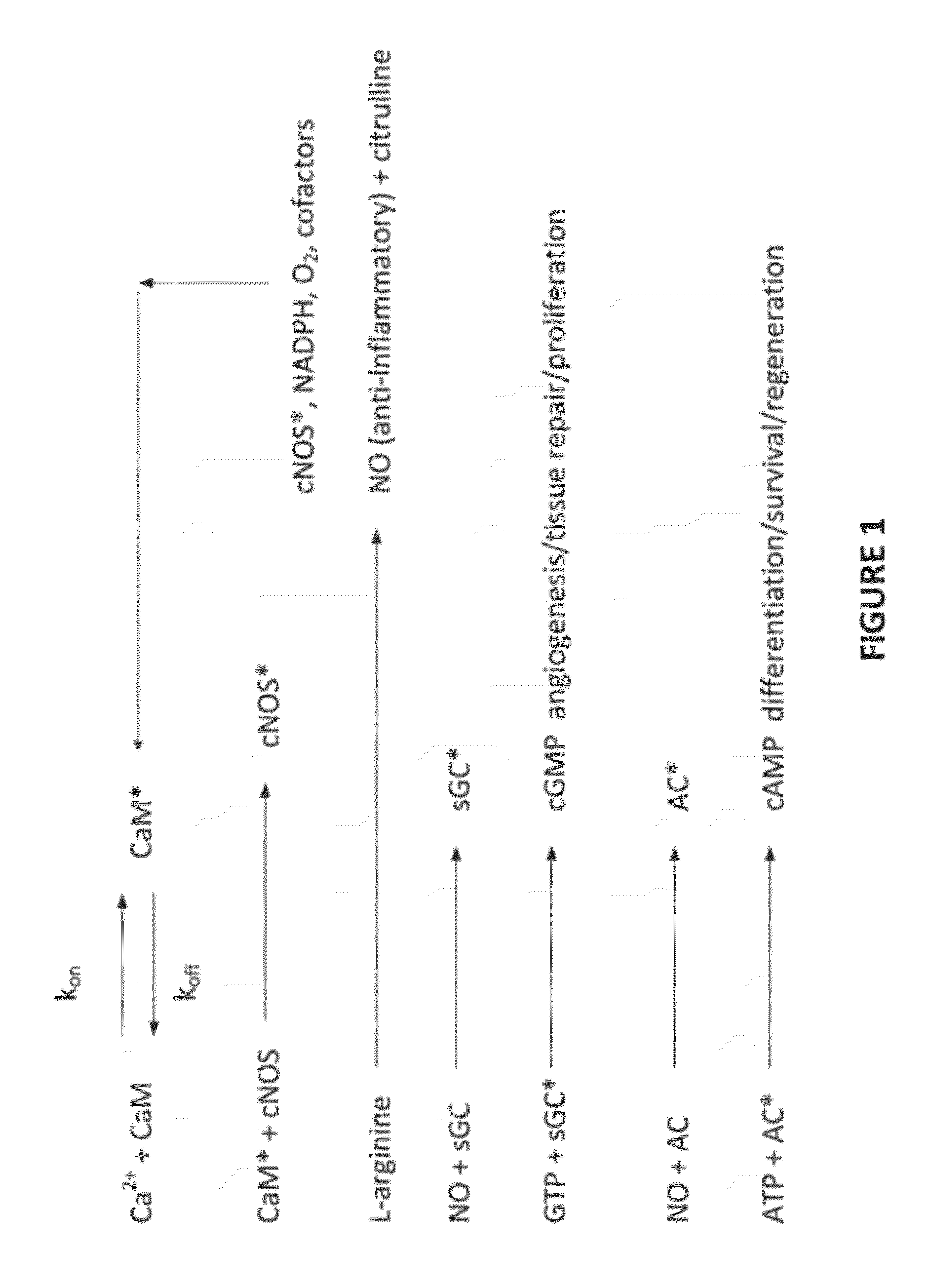 Method and apparatus for electromagnetic enhancement of biochemical signaling pathways for therapeutics and prophylaxis in plants, animals and humans