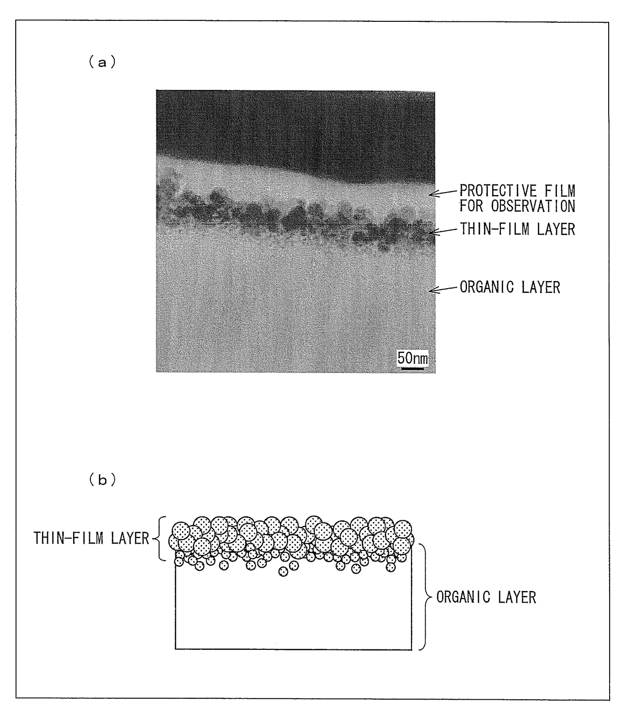 Sensor provided with metal oxide film and use thereof