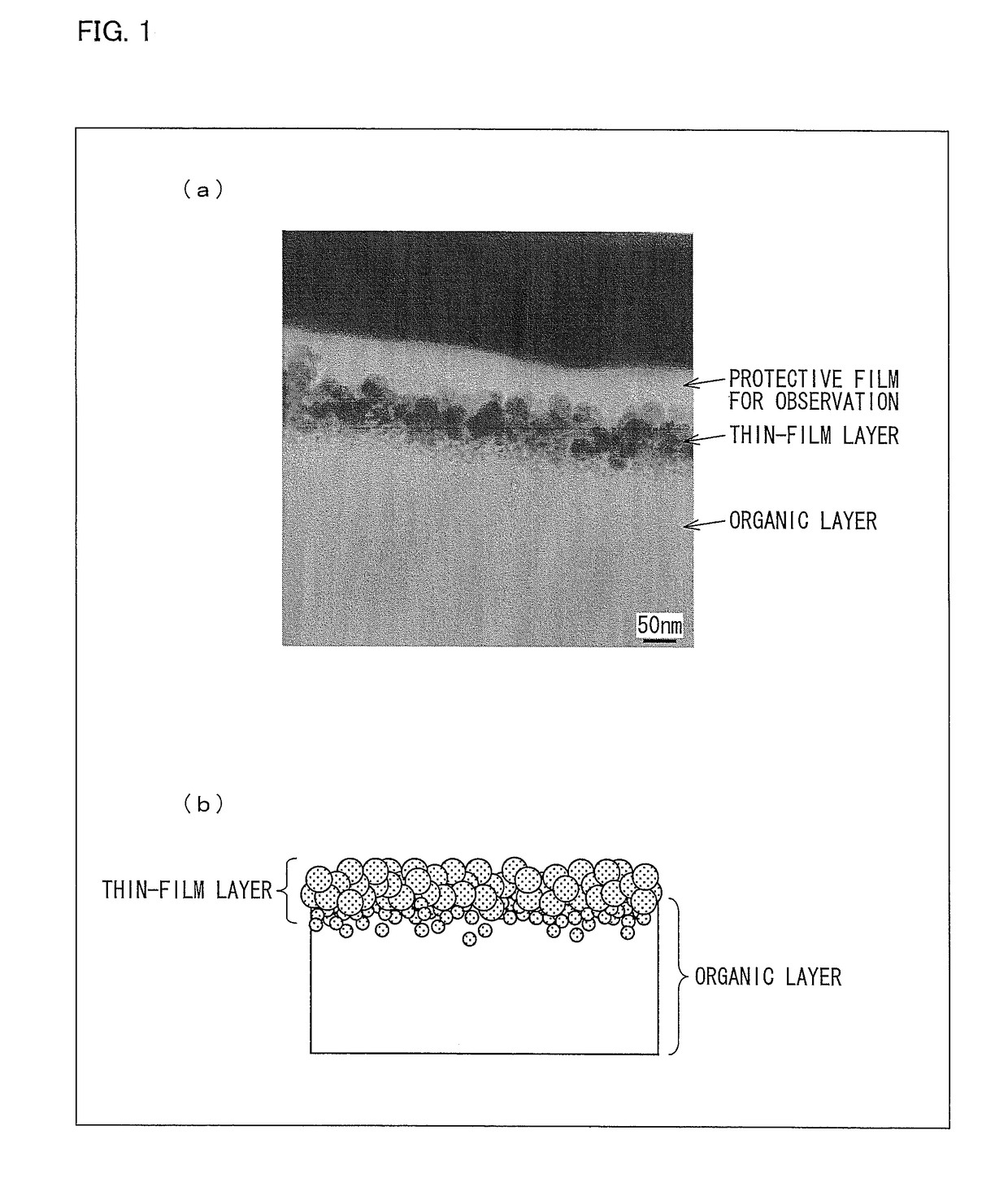 Sensor provided with metal oxide film and use thereof