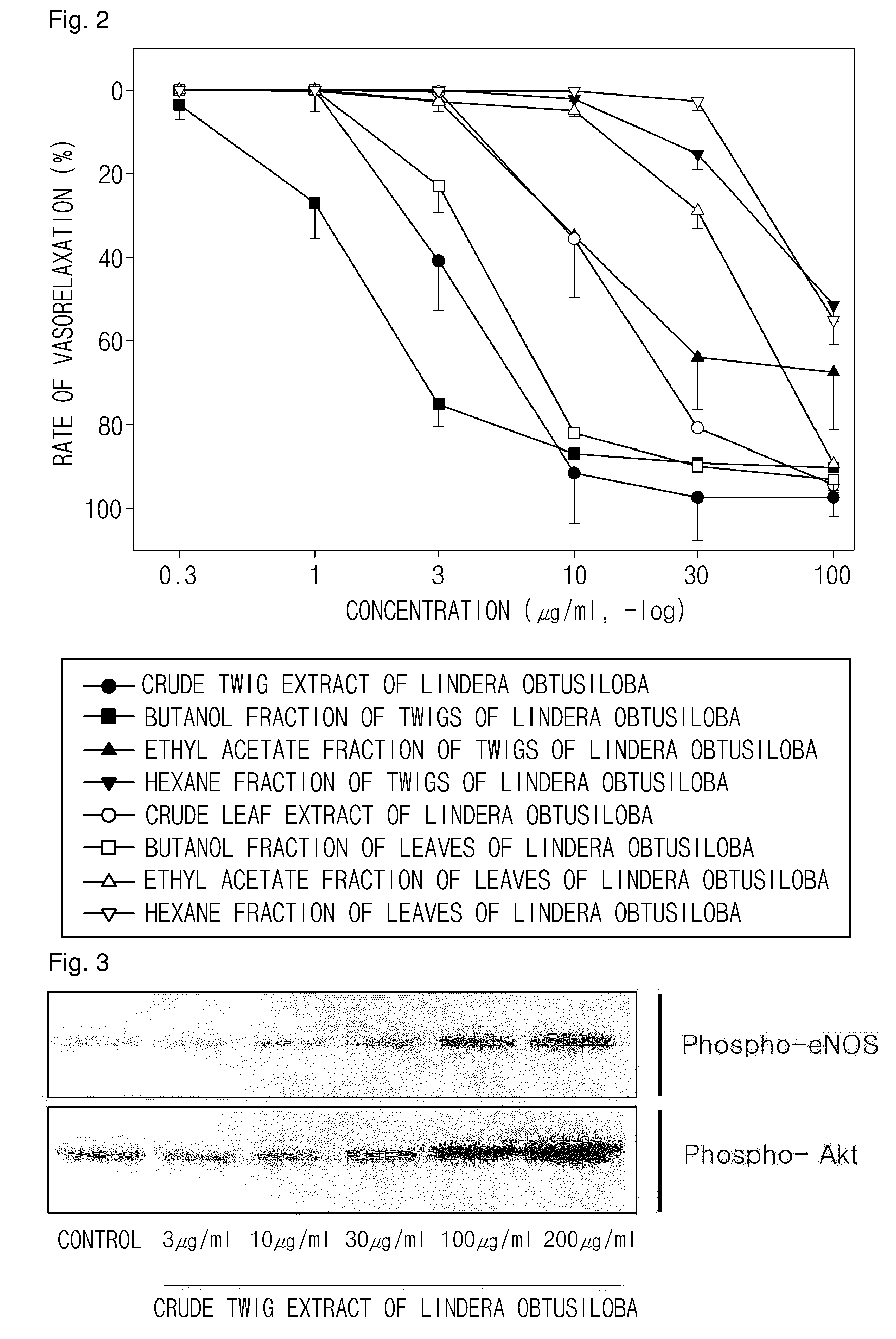 Composition comprising the extracts of lindera obtusiloba for prevention and treatment of cardiovascular diseases