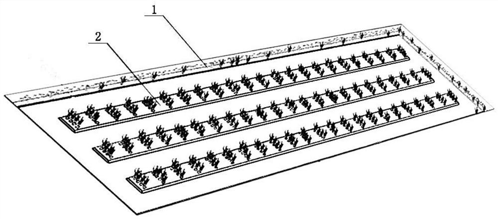 A kind of shrimp-crab pond ecological culture system and culture method thereof