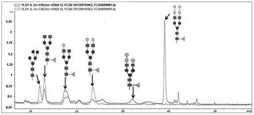 Method for rapidly and comprehensively detecting oligosaccharide on medicinal monoclonal antibody N-glycosylation site