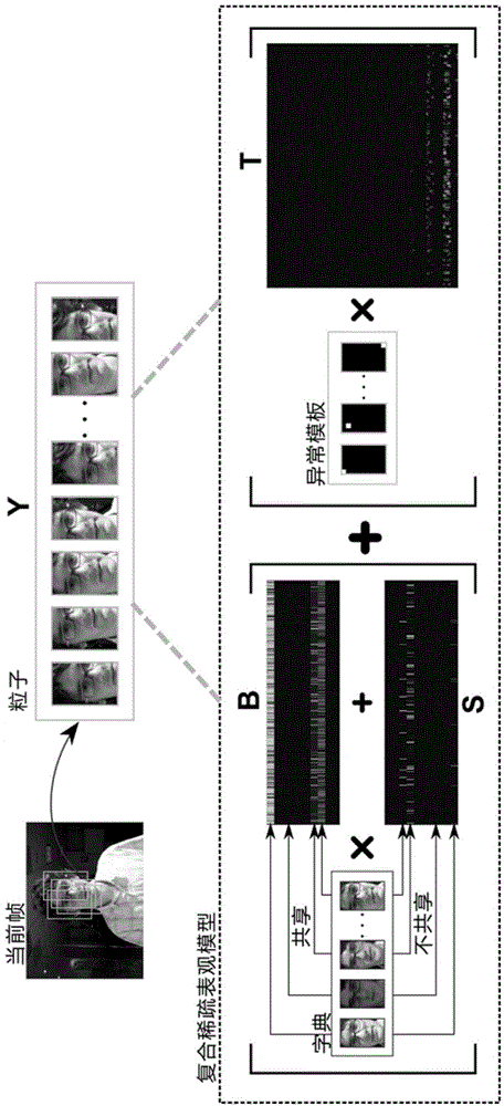 Video target tracking method based on compound sparse model