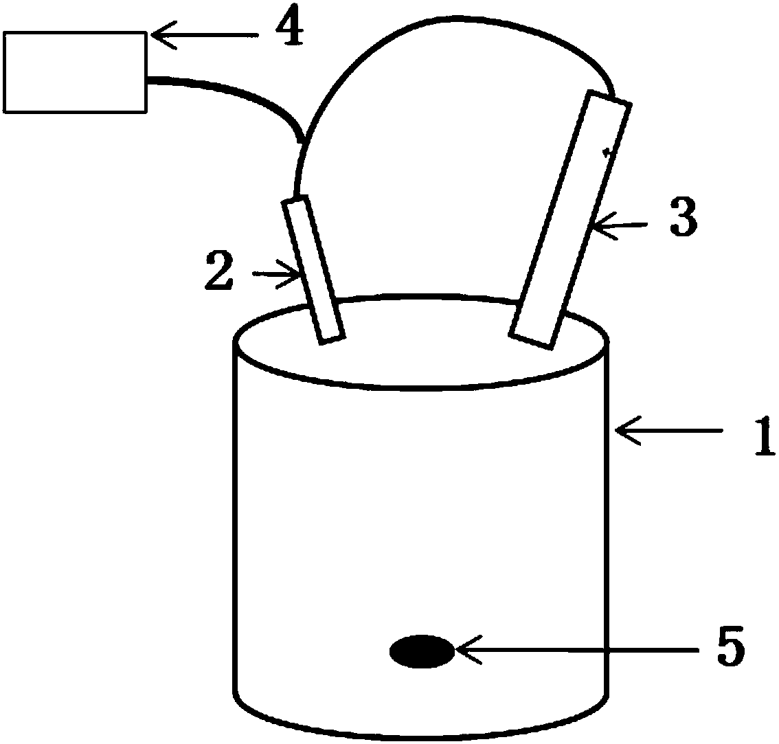 Method for preparing tetrasulfur tetranitride by ammoniation of disulfur dichloride