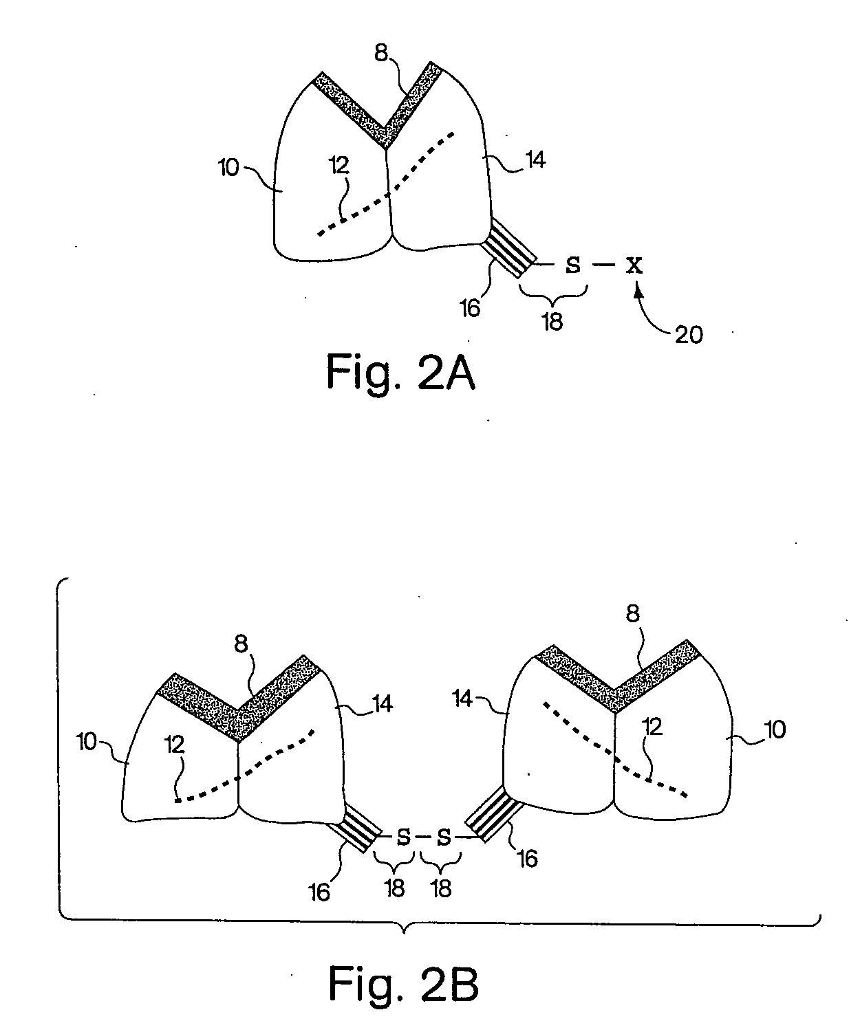 Biosynthetic binding proteins for immuno-targeting