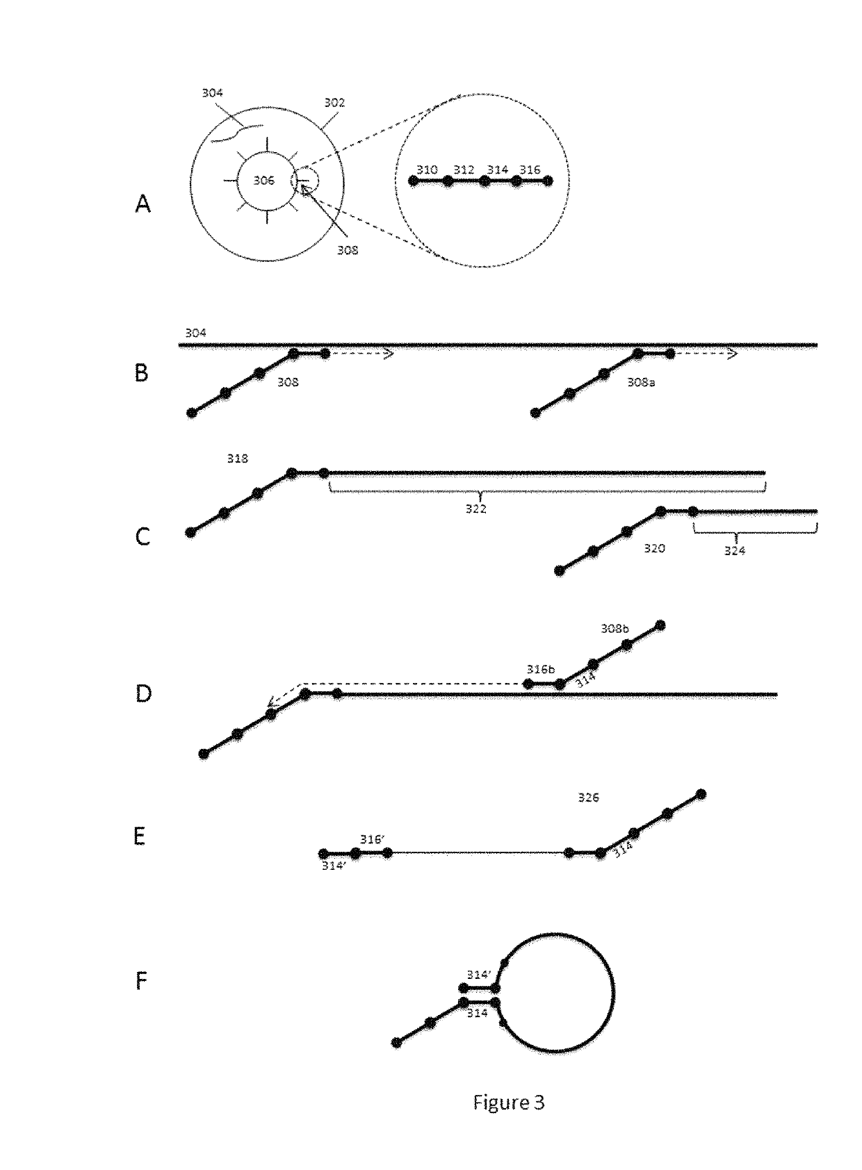 Methods and systems for processing polynucleotides