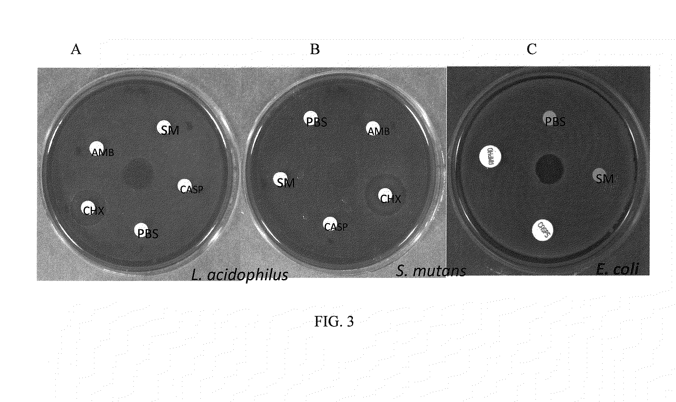 Antifungal compound and uses thereof