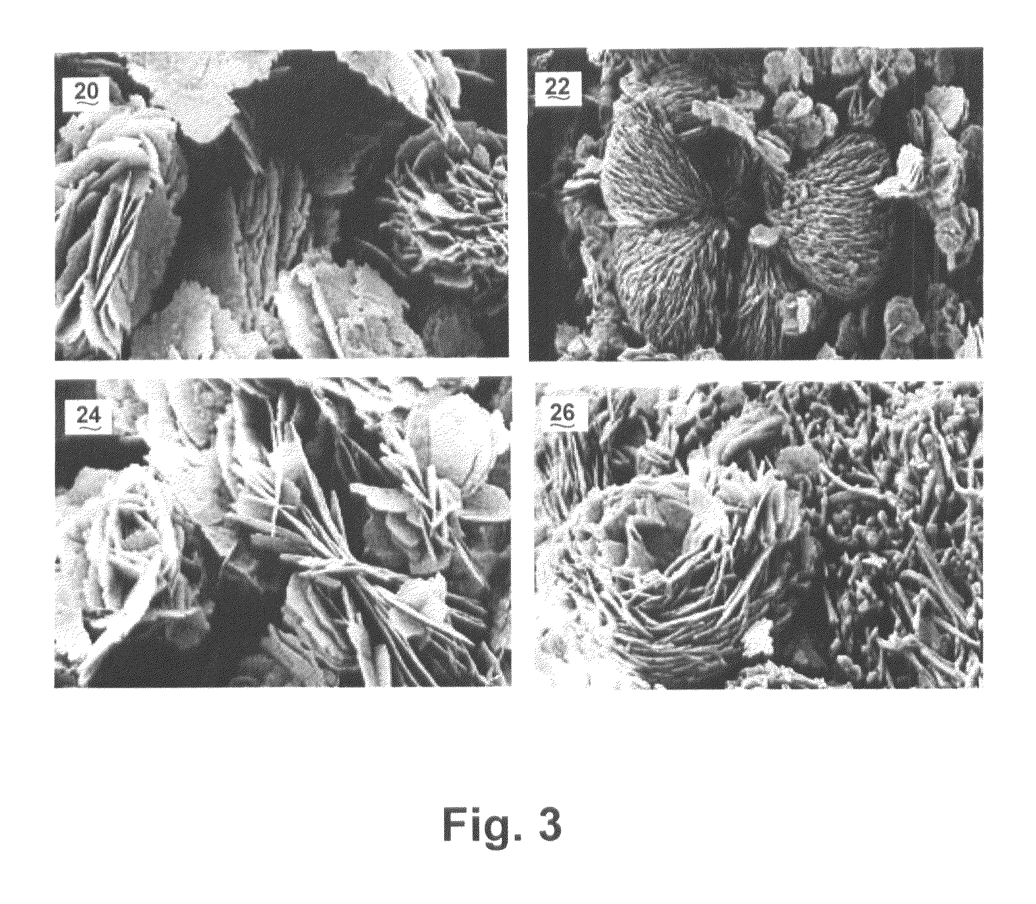 Lithium battery with silicon-based anode and silicate-based cathode