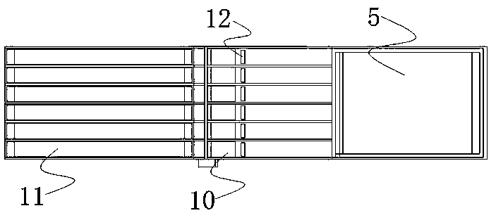 Wild papaya screening machine