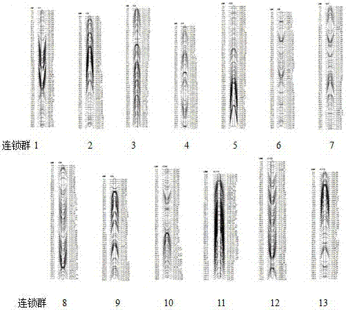 Fusarium wilt resistance gene tightly linked molecular marker sifwr2145 in sesame