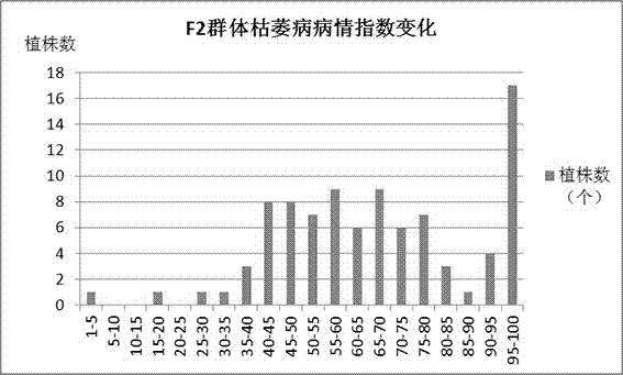 Fusarium wilt resistance gene tightly linked molecular marker sifwr2145 in sesame