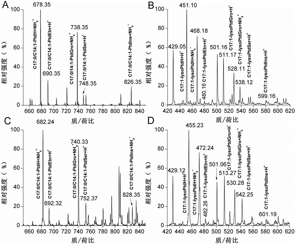 Phospholipid classification detection and quantification method based on stable isotope labeling