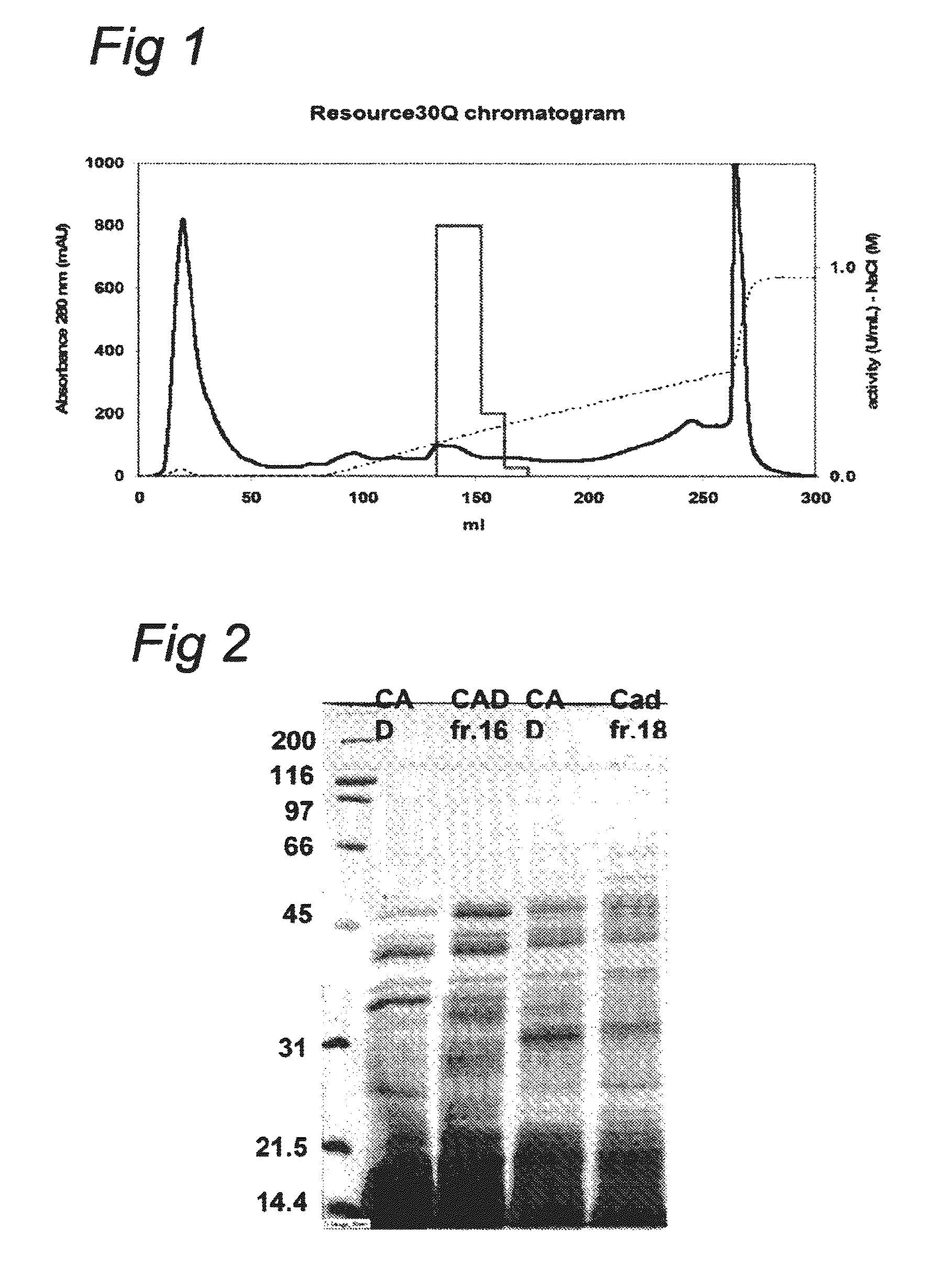Nucleotide sequences coding for cis-aconitic decarboxylase and use thereof