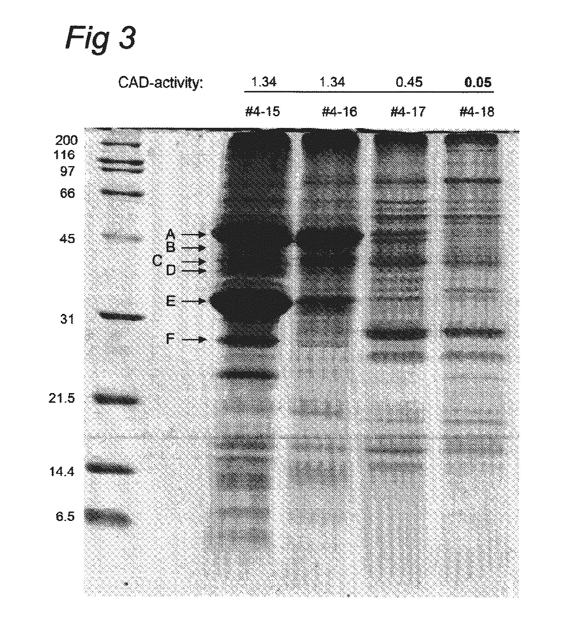 Nucleotide sequences coding for cis-aconitic decarboxylase and use thereof