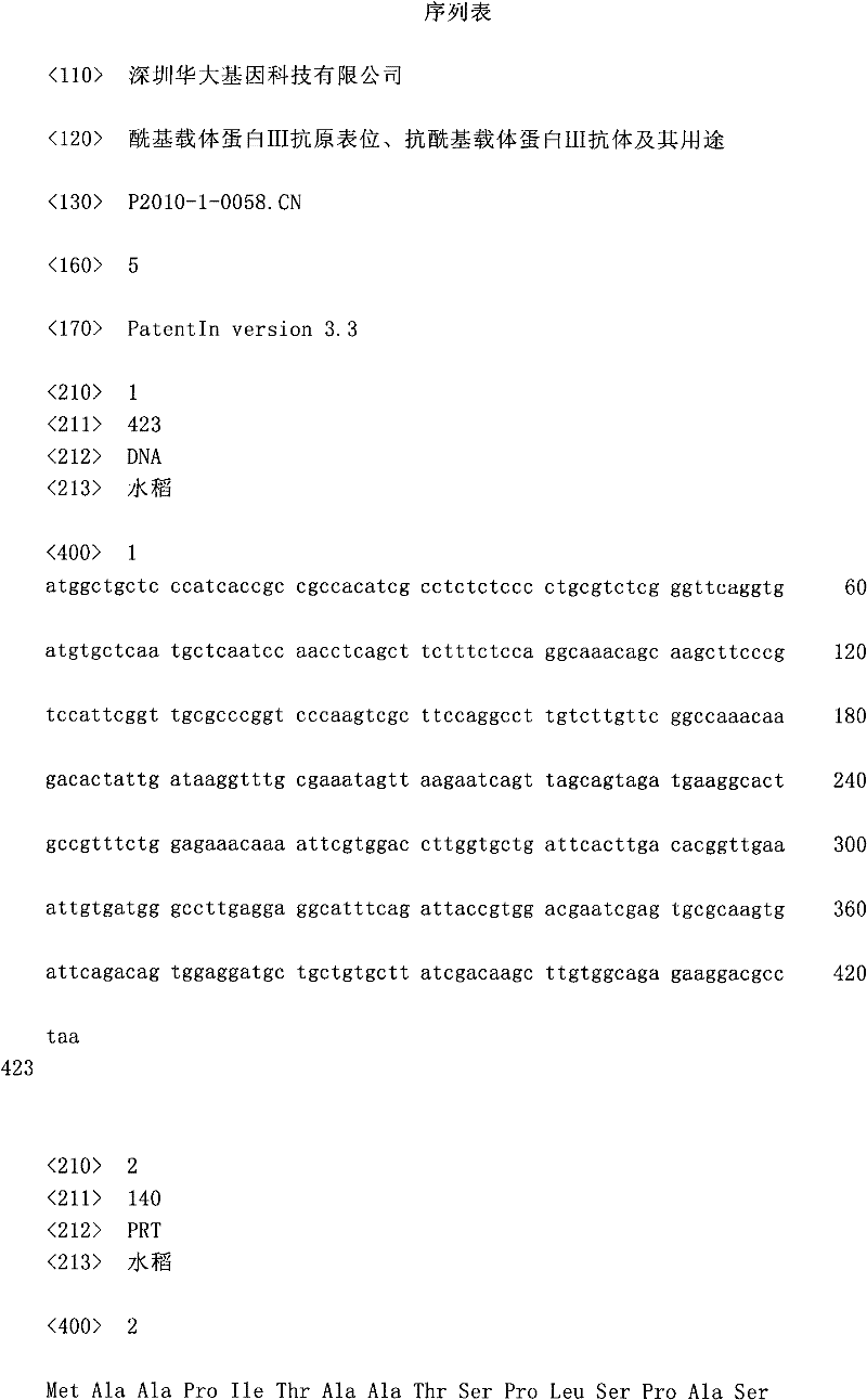 Acyl carrier protein III epitope, acyl carrier protein III antibody and use thereof