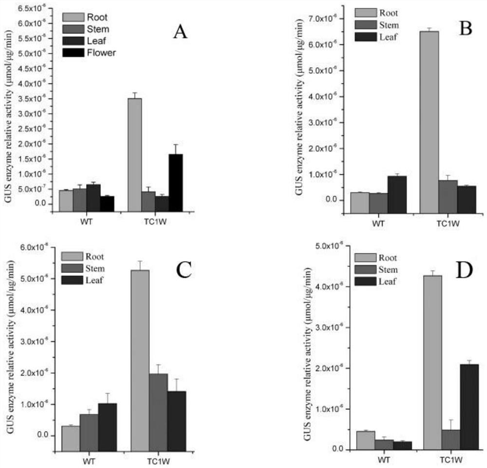 A kind of artificial chimeric promoter and its construction method