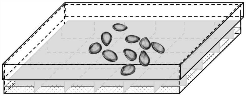 Method for improving germination potential of melon seeds and method and kit for obtaining germinated melon seeds